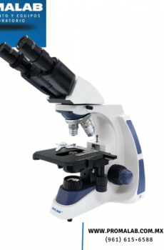 Microscopio binocular biológico VELAB Modelo VE-B1